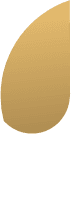 Jendela Nusantara Icon Primary Text